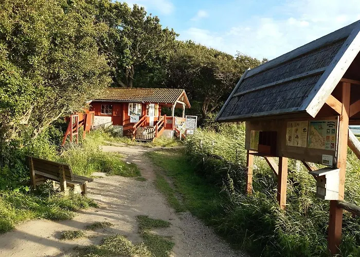 Puehler - Schwalbe Apartment *